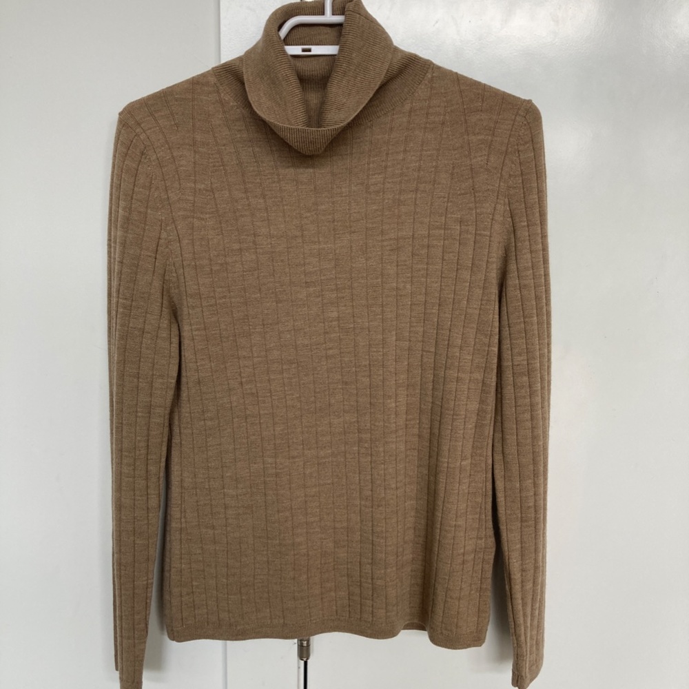 Banana Republic | Nezha Merino Turtleneck Sweater - Picture 3 of 7